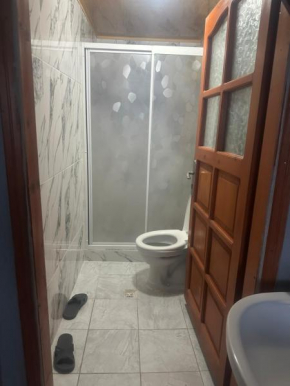 Şehir ve doğa manzaralı